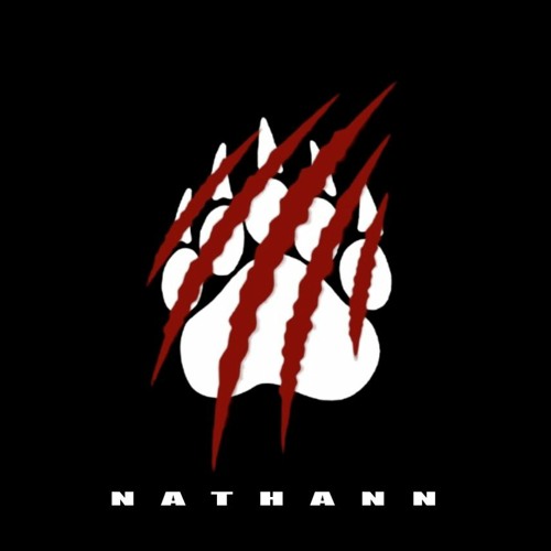 Nathann Dj’s avatar