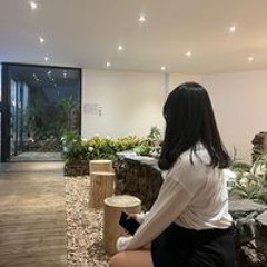 손채은