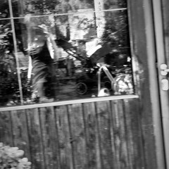 ☆lil girl loves her☆