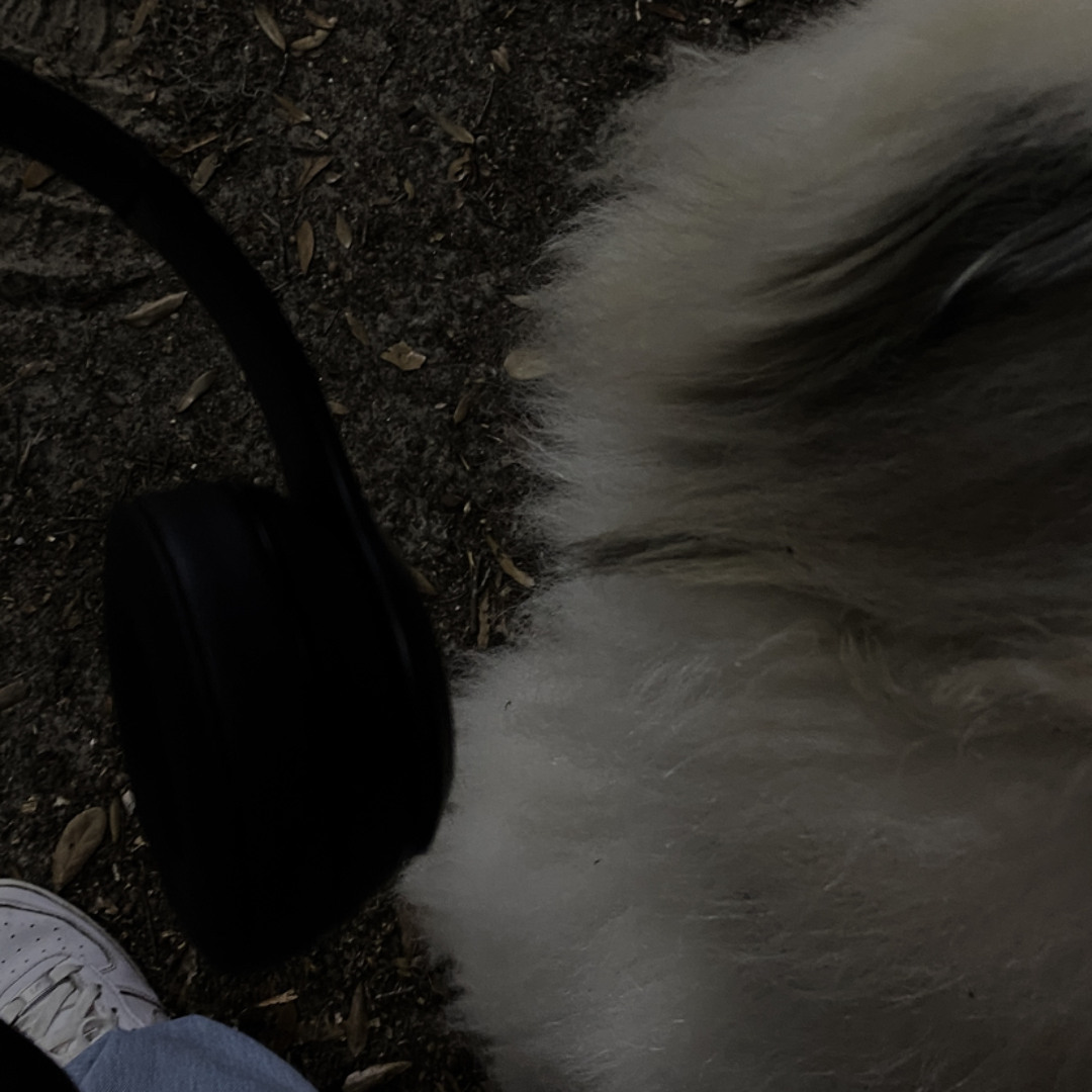Stream NotBenji music | Listen to songs, albums, playlists
