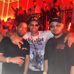 G Life 84
