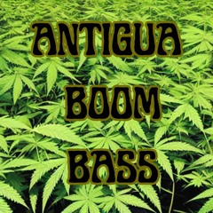 Antigua Boom Bass
