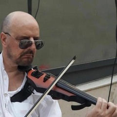 Maurizio Barbetti viola player