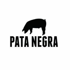 GRIFO - PATANEGRA MUSIC