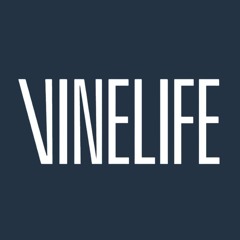 Vinelife Church Manchester