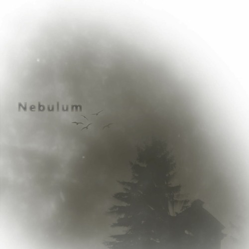 Nebulum’s avatar