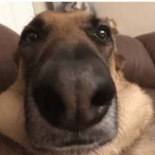 Stream Elliot Riden music | Listen to songs, albums, playlists for free ...