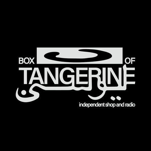 Tailorama at Box of Tangerine Novembre 2024