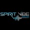 Spirit Vibe Productions, LLC