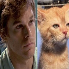 вичинфецырован