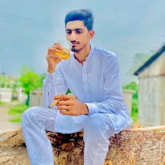 Malik Anas Awan