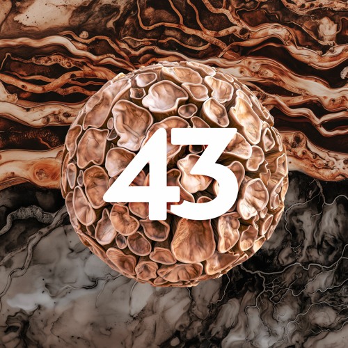 43 Degrees Records’s avatar
