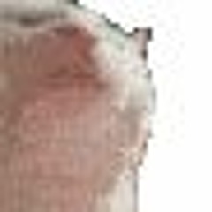 Ingvr
