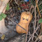 OMA_IM_KOMA_WILL_GANZ_KLAR_69