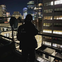 DENZ3L