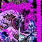 ASTRO_LMW