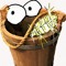 Todd Buckets