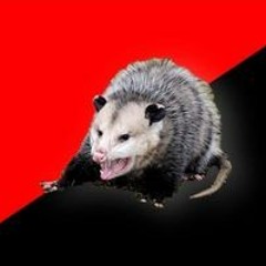 Lime Flavored Maggot