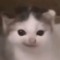 엔진사랑녀🫰🏿