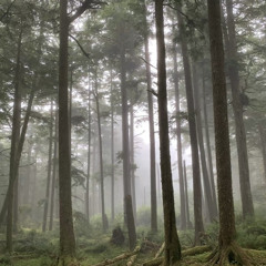 Тутанхамон