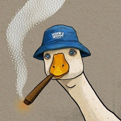 Wonky Goose Audio