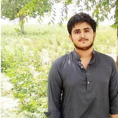 Sajid Nizamani Baloch