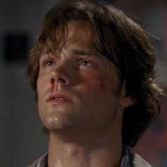 🎀🎶🪳🥩🦄Sledy🦄🥩🪳🎶🎀