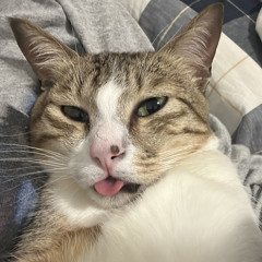 Zhuuhz