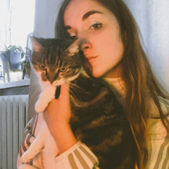 must sebra 🦓