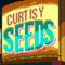Curtisy