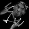 AFlyKing