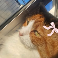 ☆~𝒔𝒍𝒂𝒚~☆