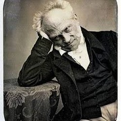 Andrew Schopenhauer