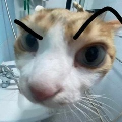jaz !