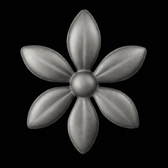 Platinum Flowers Recordings