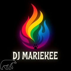 °♡☆DJ Marie-Kee☆♡♤°