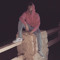 Brenden Shope