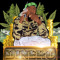 Jay Dinero