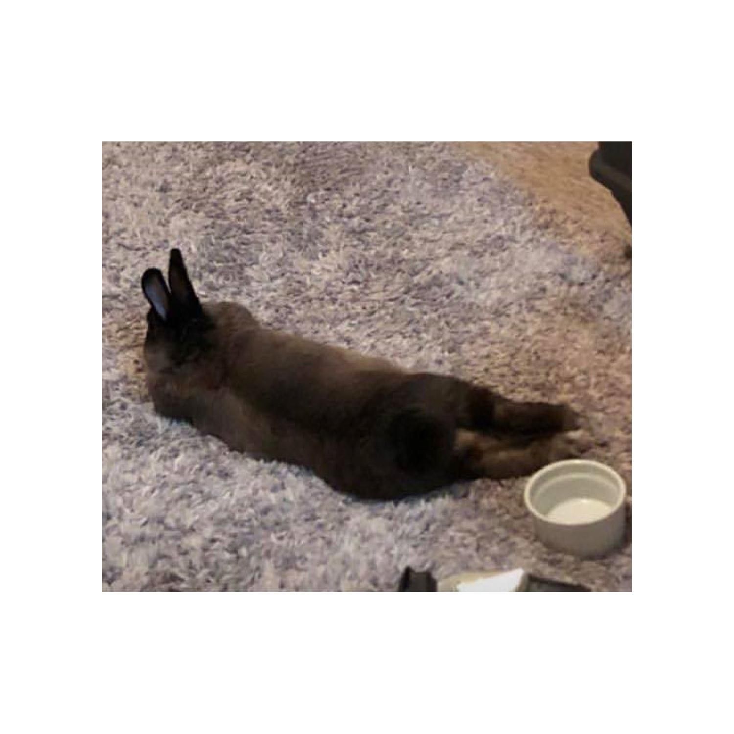 ゆーれーラジオ