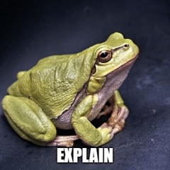 Ralph Thomas Evangelista