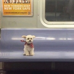 yyt-!