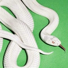 Jay7
