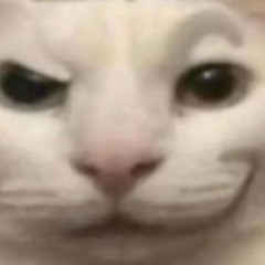 Freaky Cat