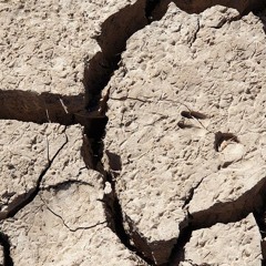 𝕸𝖔𝖍𝖆𝖒𝖆𝖉 𝕽 𝕶𝖆𝖛𝖎𝖗