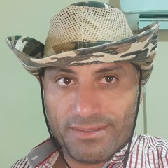 kamel
