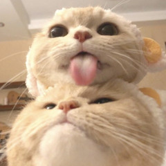 minhui