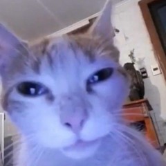 Ben