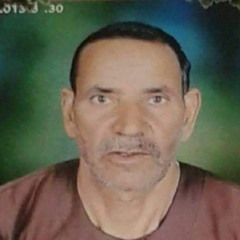 Basheer Mostafa