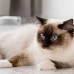 i'M ELECTRONIC | Indie electronica from DIY artists around the world