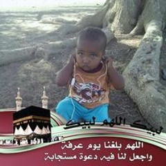 العجوز ود الروضة